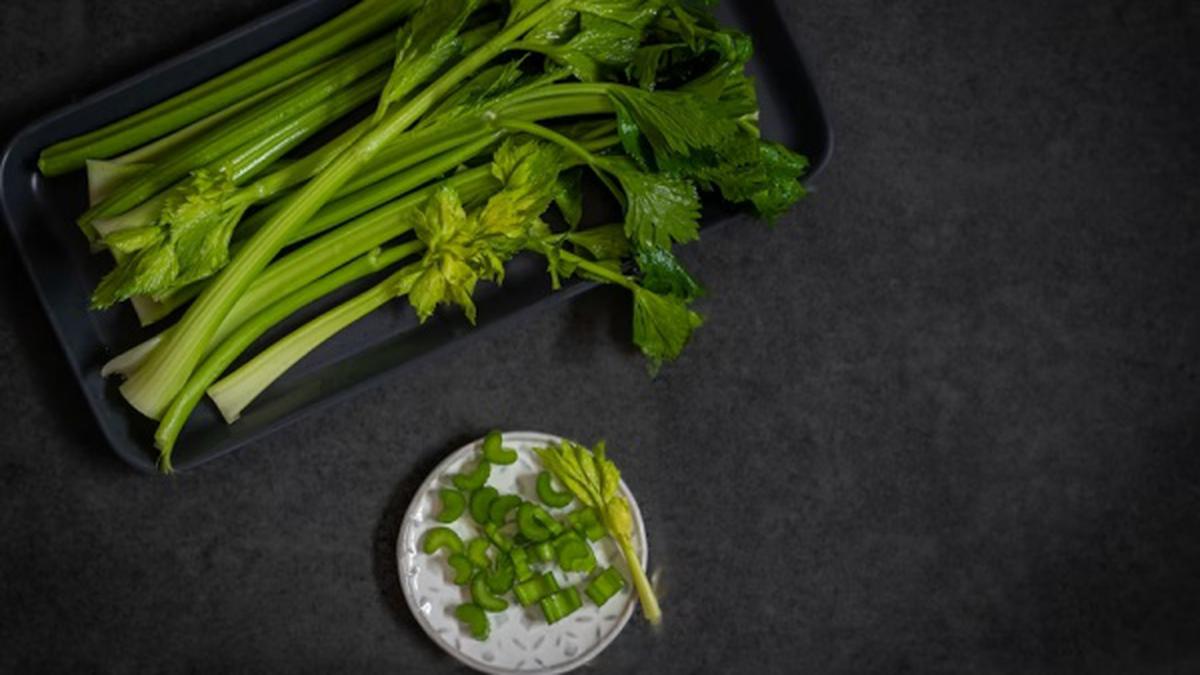 8 Sayuran Daun Cepat Panen yang Ideal untuk Kebun Mini di Rumah, Mudah Dirawat